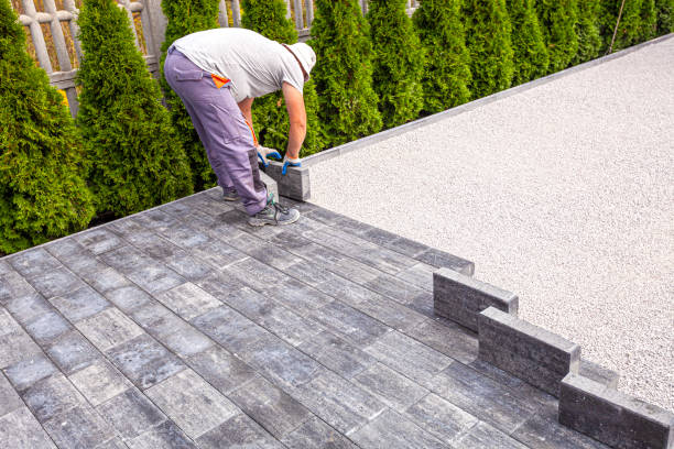 Best Local Driveway Pavers  in Waterloo, NE